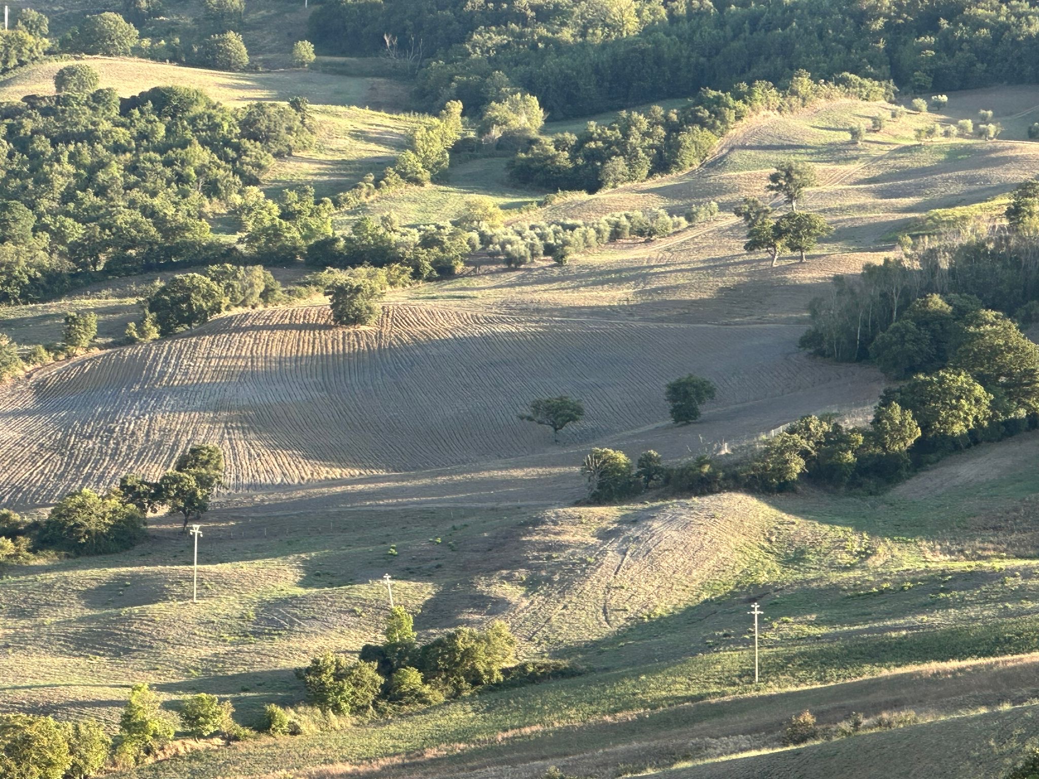 Mosaico di campi coltivati e boschi della proprietà