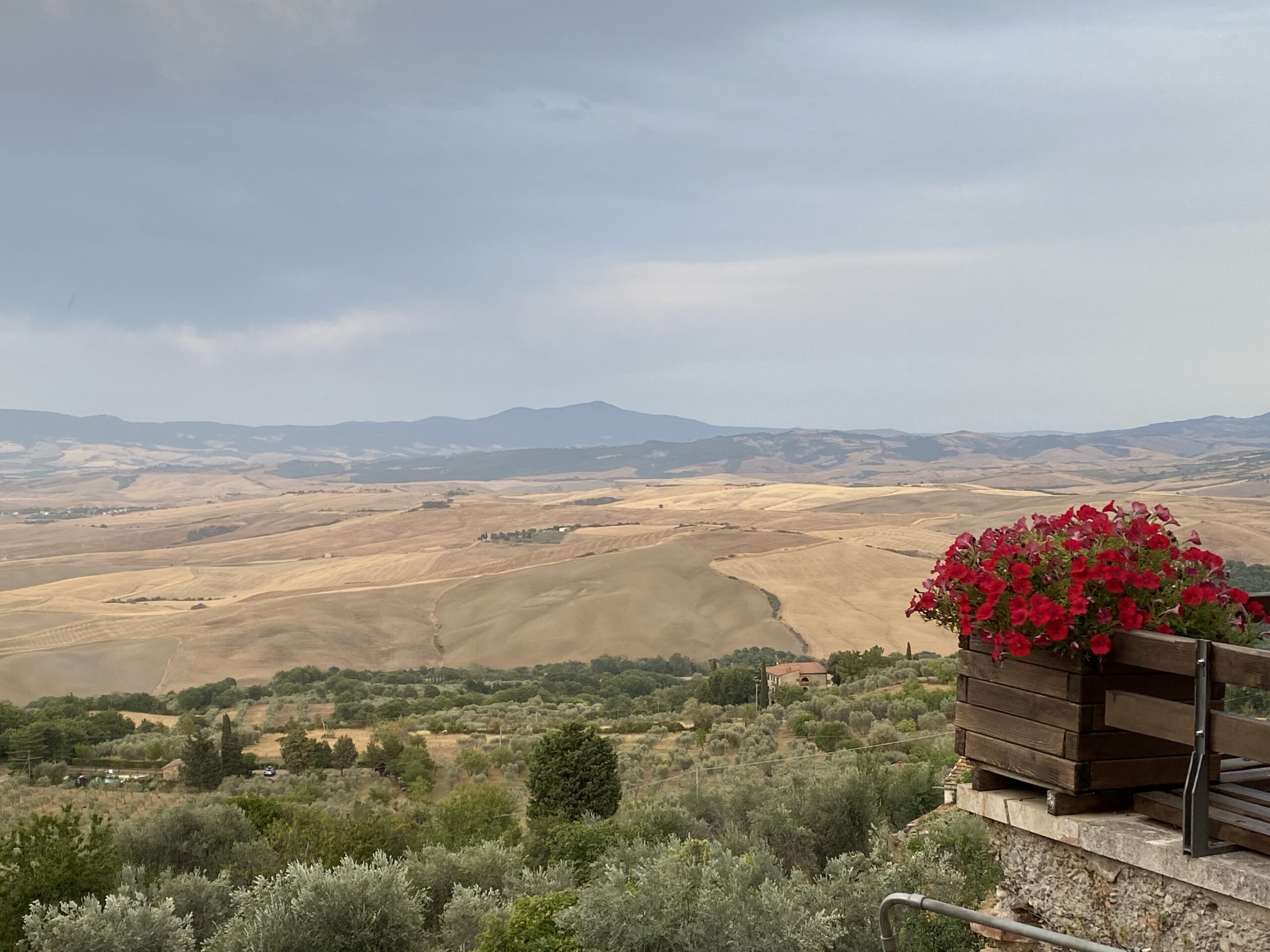 Paesaggio agricolo della Val d’Orcia visto dalla tenuta