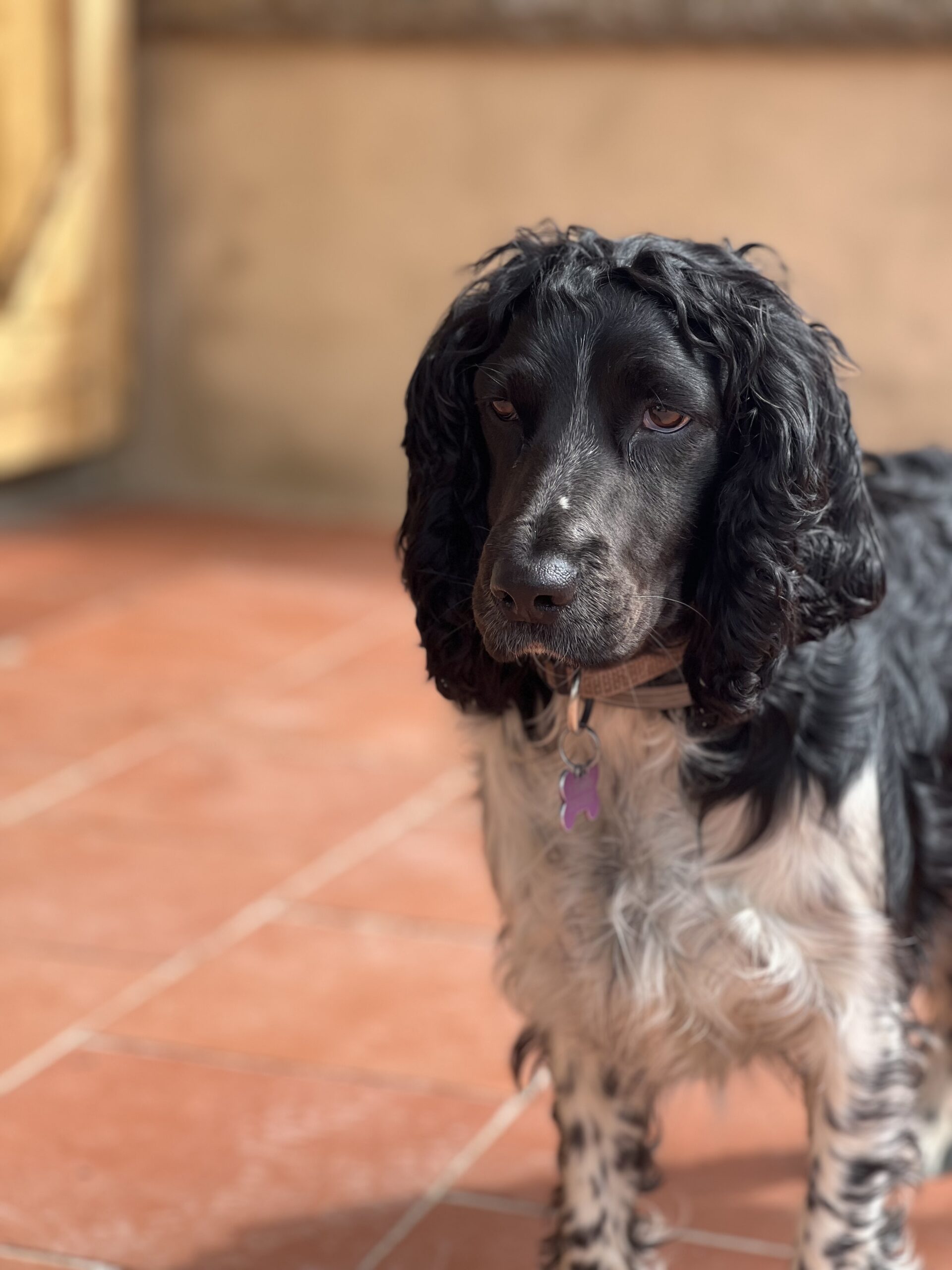 Zoe