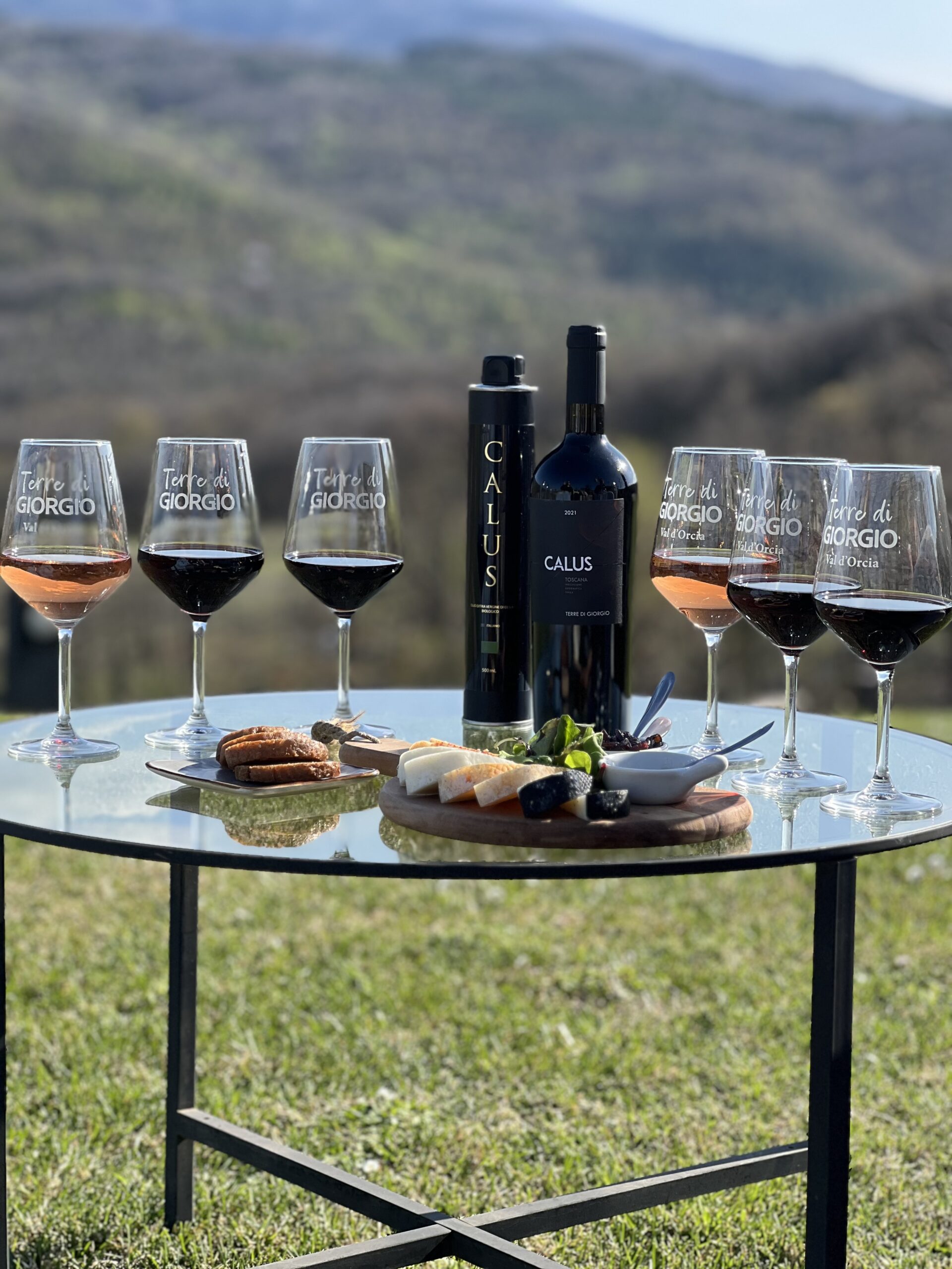 Degustación de vinos y productos de Terre di Giorgio en el paisaje
