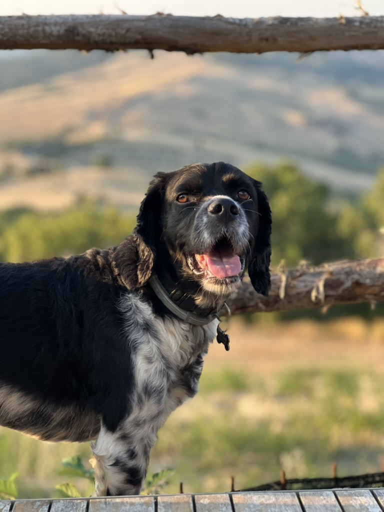 Charlie