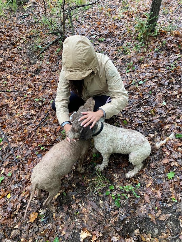 Ospite con i cani da tartufo durante la caccia al tartufo di Terre di Giorgio