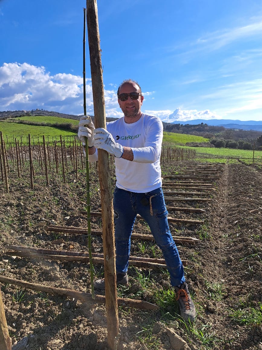 Alberto Giorgio al lavoro tra i filari di Terre di Giorgio in Val d’Orcia