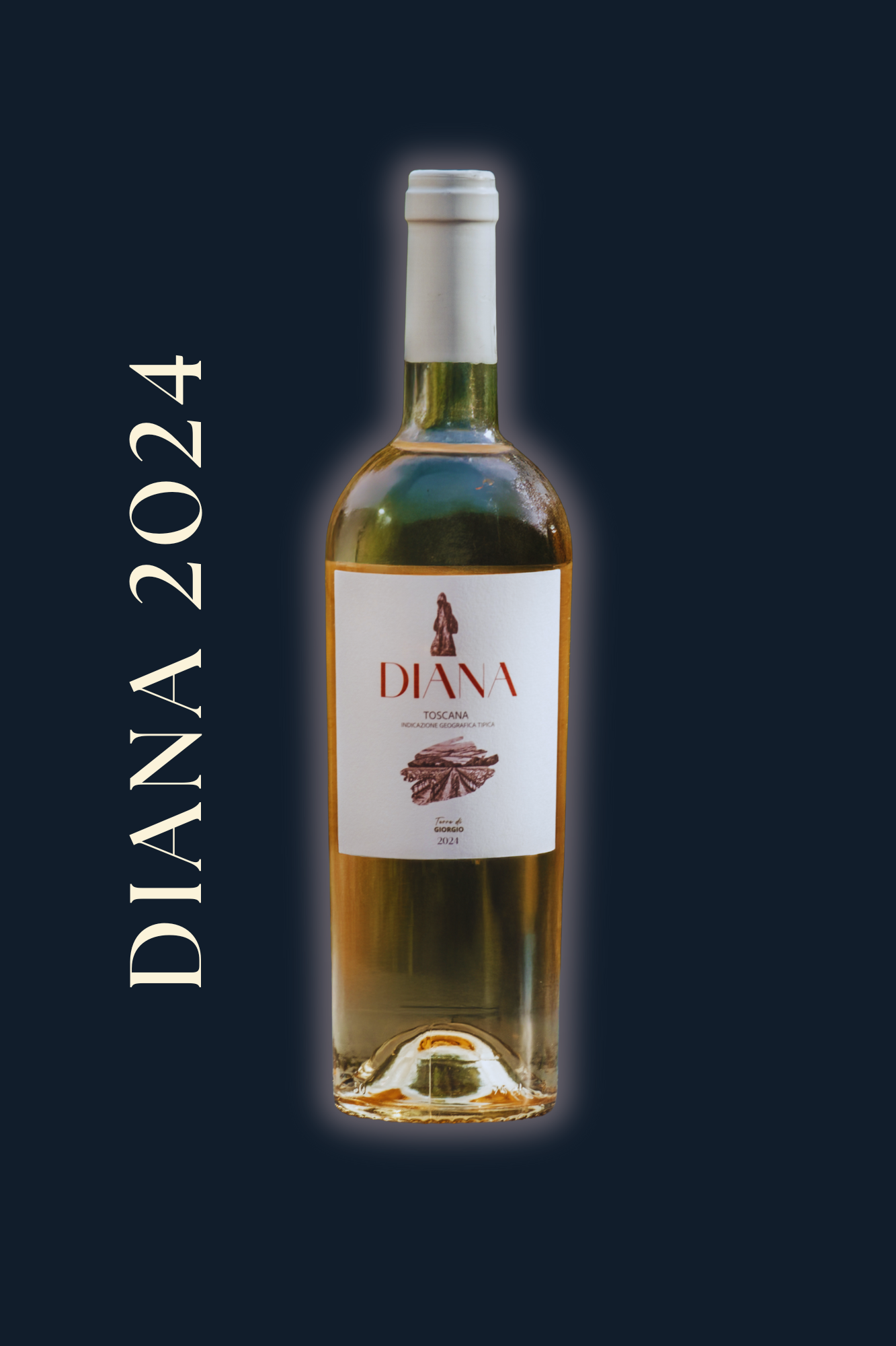 Vino DIANA 2024 IGT Toscana Rosato