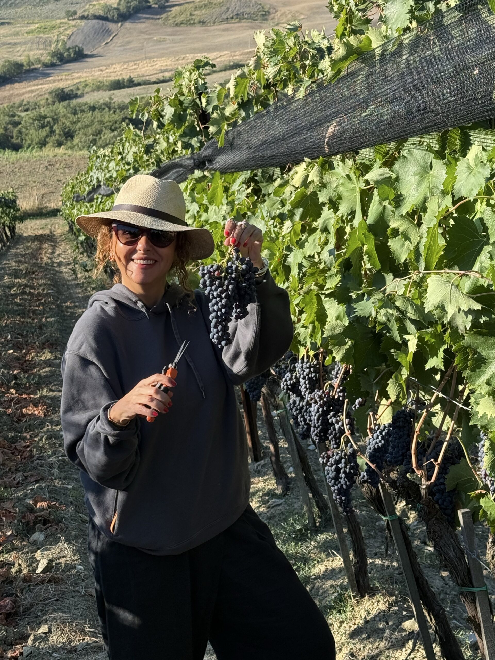 Un’ospite sorride con un grappolo appena raccolto tra i filari di Vigna delle Querce