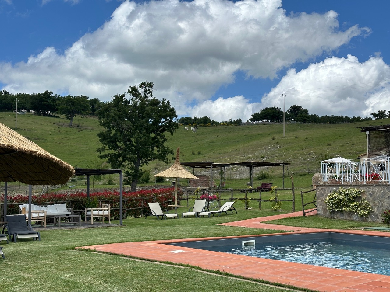 Piscina e giardino di Terre di Giorgio affacciati sulla campagna